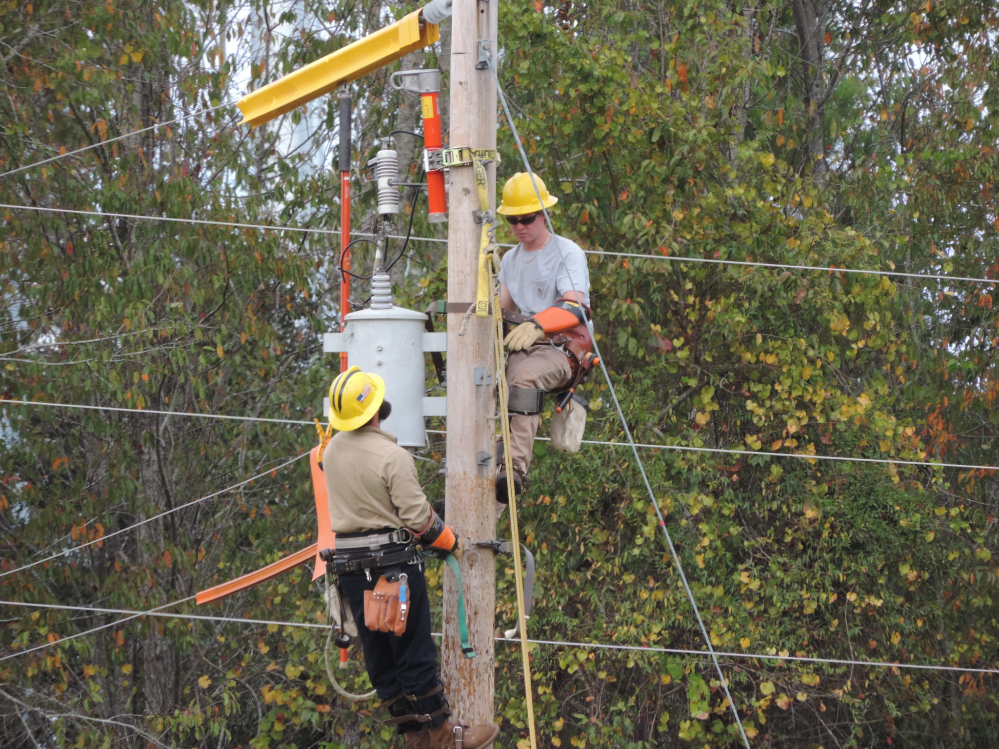 Powerline Workers Apprenticeship Program - Electric Cities Of Georgia